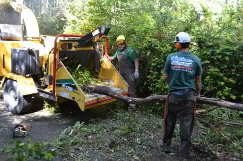 tree services Shueyville